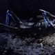 Illustration for article titled Prepare To Be Boarded! First Look At Stargates New Alien Spaceships